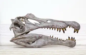Spinosaurus Başkanı İskelet Kafatası Fosil Modeli Etçil Theropod Dinozor Figürü Hayvan Toplayıcı Eğitim Dekor GK Hediye Oyuncak