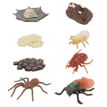 8 Adet Simüle Plastik Hayvan Modelleri Böcek Büyüme Döngüsü Örümcek Ağustosböceği Büyüme Bilim Biliş Eğitici Oyuncaklar