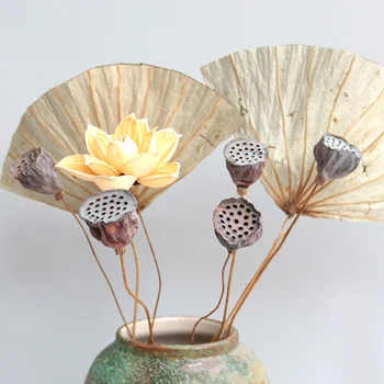 1 Adet Lotus Doğal Kurutulmuş Çiçekler Çiftlik Evi Kurutulmuş Bitki Şube Güz Süslemeleri Ev Partisi Ofis Dekoratif Preslenmiş Çiçek