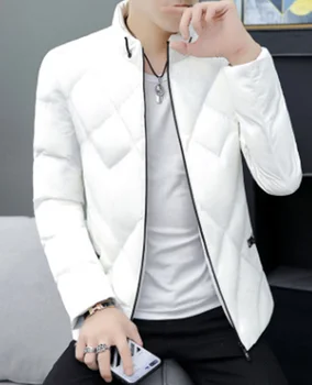 2020 Yeni Erkek Aşağı Ceket Kore Gençlik İnce Kısa Pamuklu Düz Monclair Kış sıcak Rahat kapitone ceket