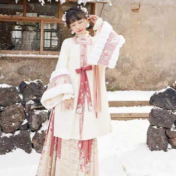 Yeni Kış Hanfu Elbise Kadınlar İçin Yetişkin Çin Geleneksel Kostüm Ming Hanedanı Prenses Zarif Elbise Pembe Hanfu Takım Elbise DQL7876