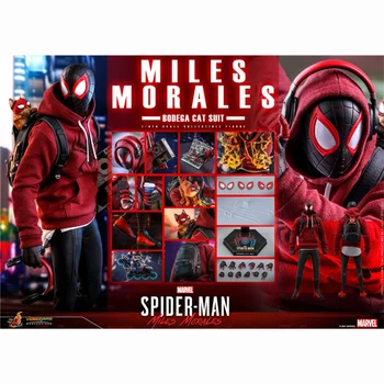 Stokta Orijinal Hottoys HT 1/6 VGM50 Örümcek Adam: Miles Morales Bodega Kedi Takım Marvel Anime Aksiyon Figürleri Modeli Oyuncaklar