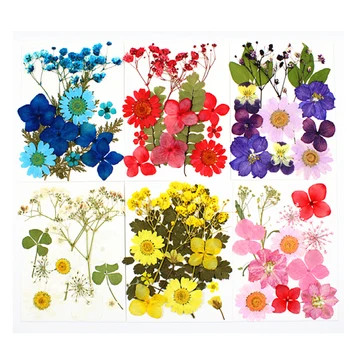 Renkli Gerçek Kurutulmuş Çiçek UV Epoksi Reçine Kalıp Dolgu Dekorasyon DIY Kolye Kolye Takı Yapımı El Sanatları Aksesuarları